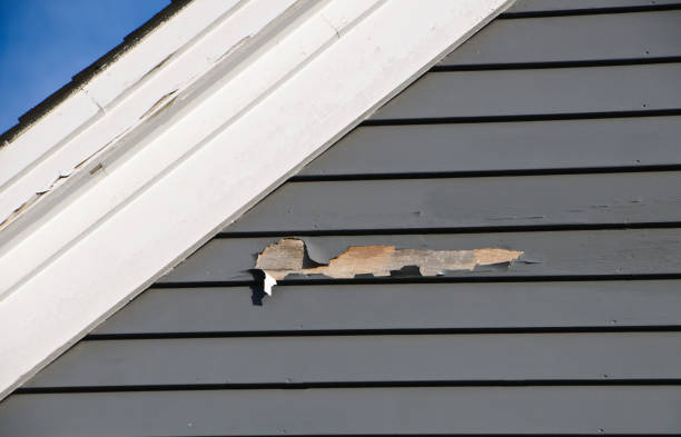 Affordable siding repair and maintenance services in Bluffton, OH